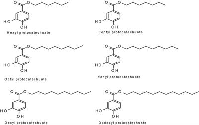 Alkyl Protocatechuate-Loaded Nanostructured Lipid Systems as a Treatment Strategy for Paracoccidioides brasiliensis and Paracoccidioides lutzii In Vitro